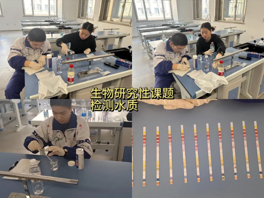 绳梯训练篮球_0